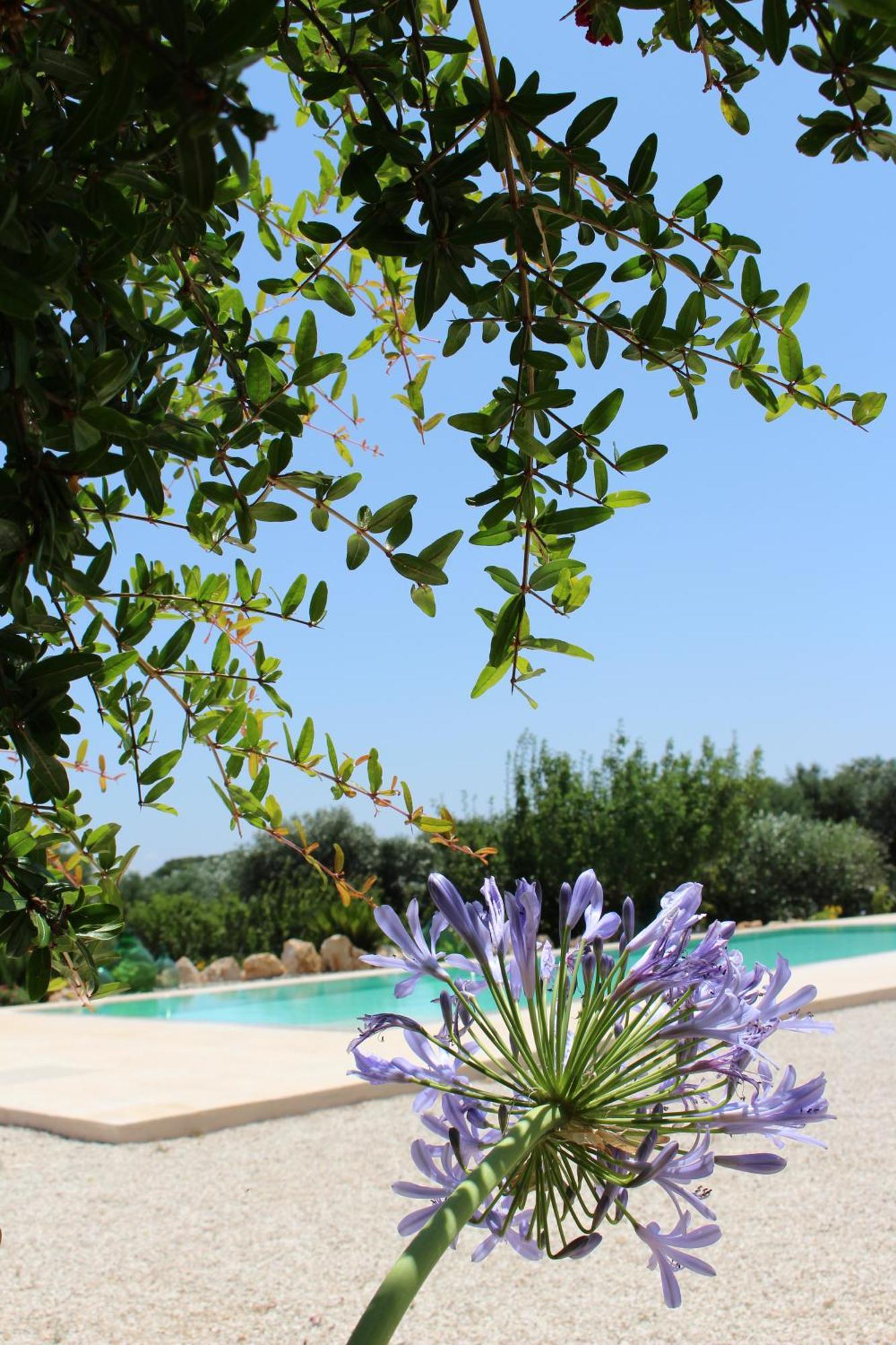 Hostal Trullo Il Melograno Ostuni Exterior foto