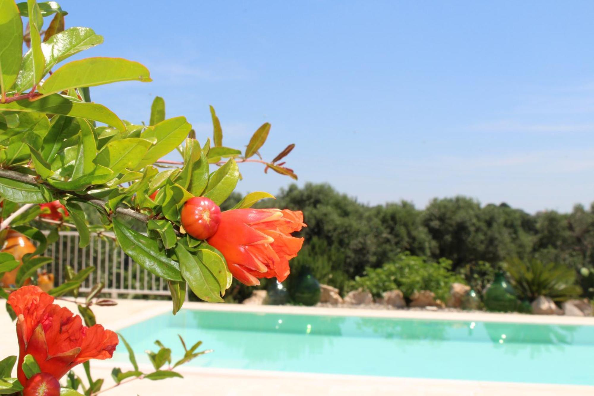 Hostal Trullo Il Melograno Ostuni Exterior foto